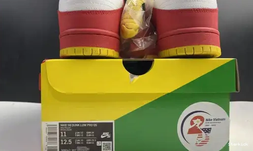 SB Low Nike Dunk 25th years 309242-307 0621